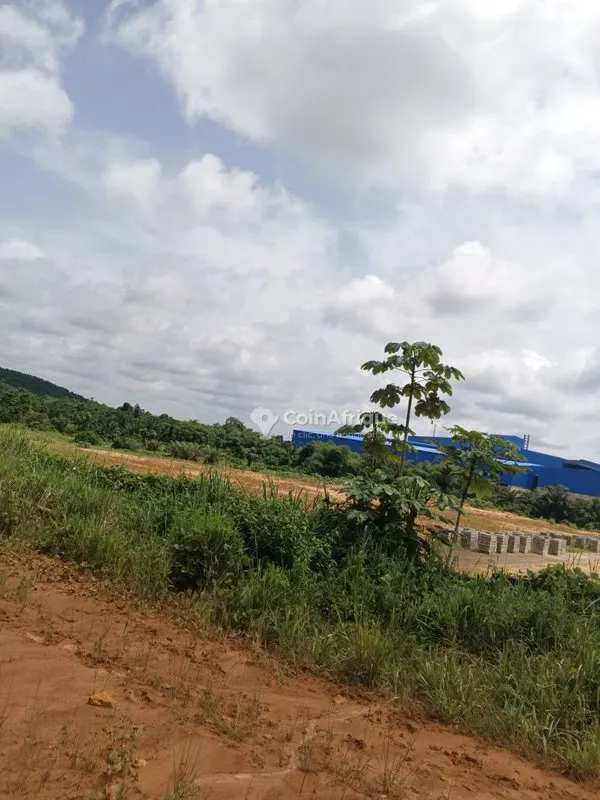 Parcelle 2 ha zone industrielle — Yopougon
