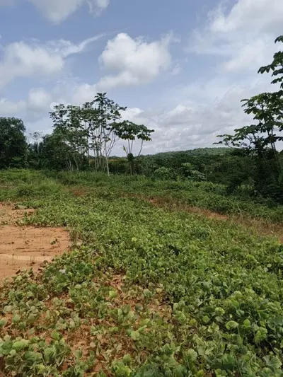 Terrain 2 hectares zone industrielle — Yopougon