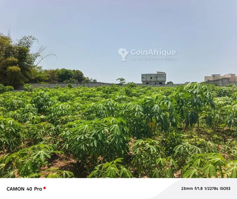 Terrains 512-576 m² avec ACD et vue lagunaire — Bingerville Anan Gbontchui