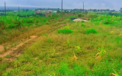 Terrain 400 m² — Sipo