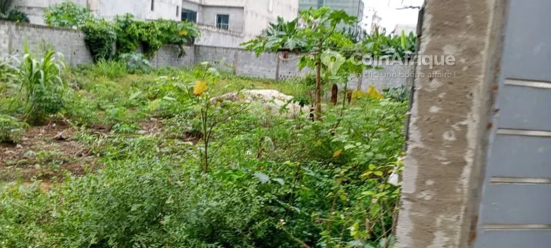Terrain 800 m² – angré chu