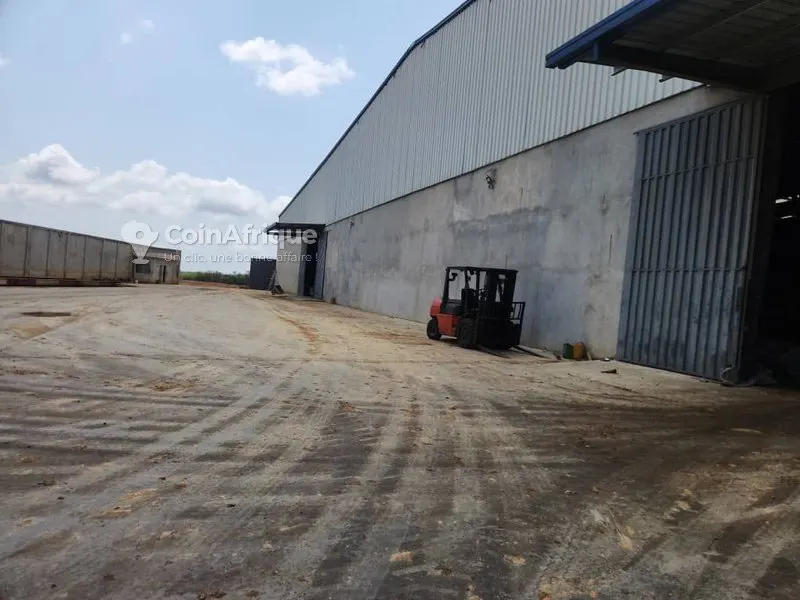 Entrepôt 10 000 m² avec ACD — PK 26 Attinguié
