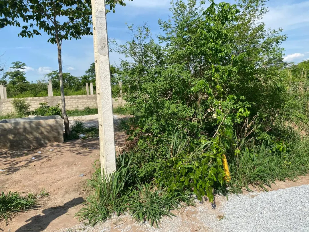 Lot de 500M²