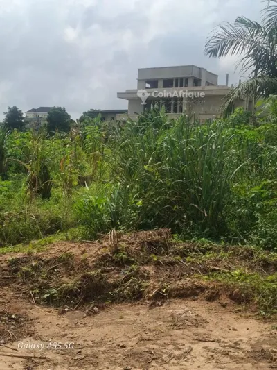 Terrain 400 m² avec ACD — Bingerville Cité Bad