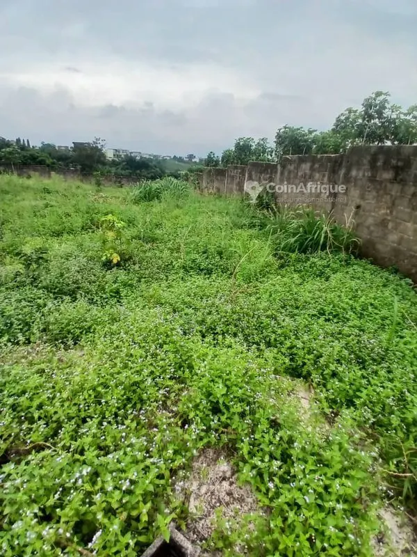 Terrain 800 m² clôturé — Bingerville Akandjé