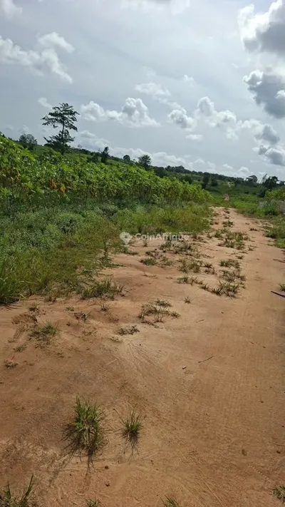 Terrain avec ACD individuel à Songon Abgan bitte