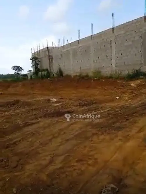 2 terrains 300 m² — Songon Kassemble