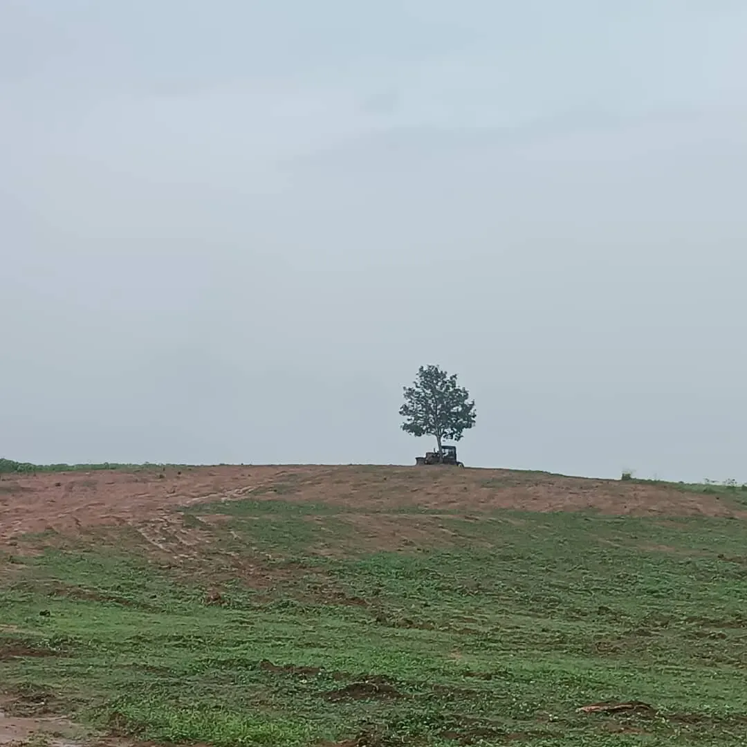 Parcelle 17 hectares — Songon Ahiwahi