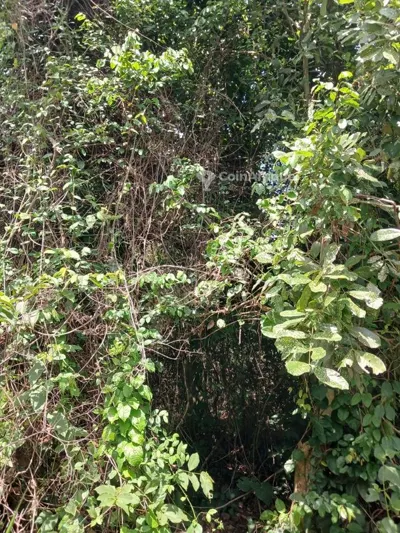 Terrain à Yamoussokro — Lolobo Lotissement Menou Plateau