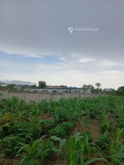 Terrain bâti 500m² avec immeuble R+2 — Songon Adiapoto II