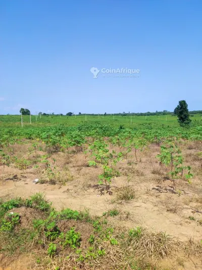 Terrain 400 m² — Songon M'Brathé