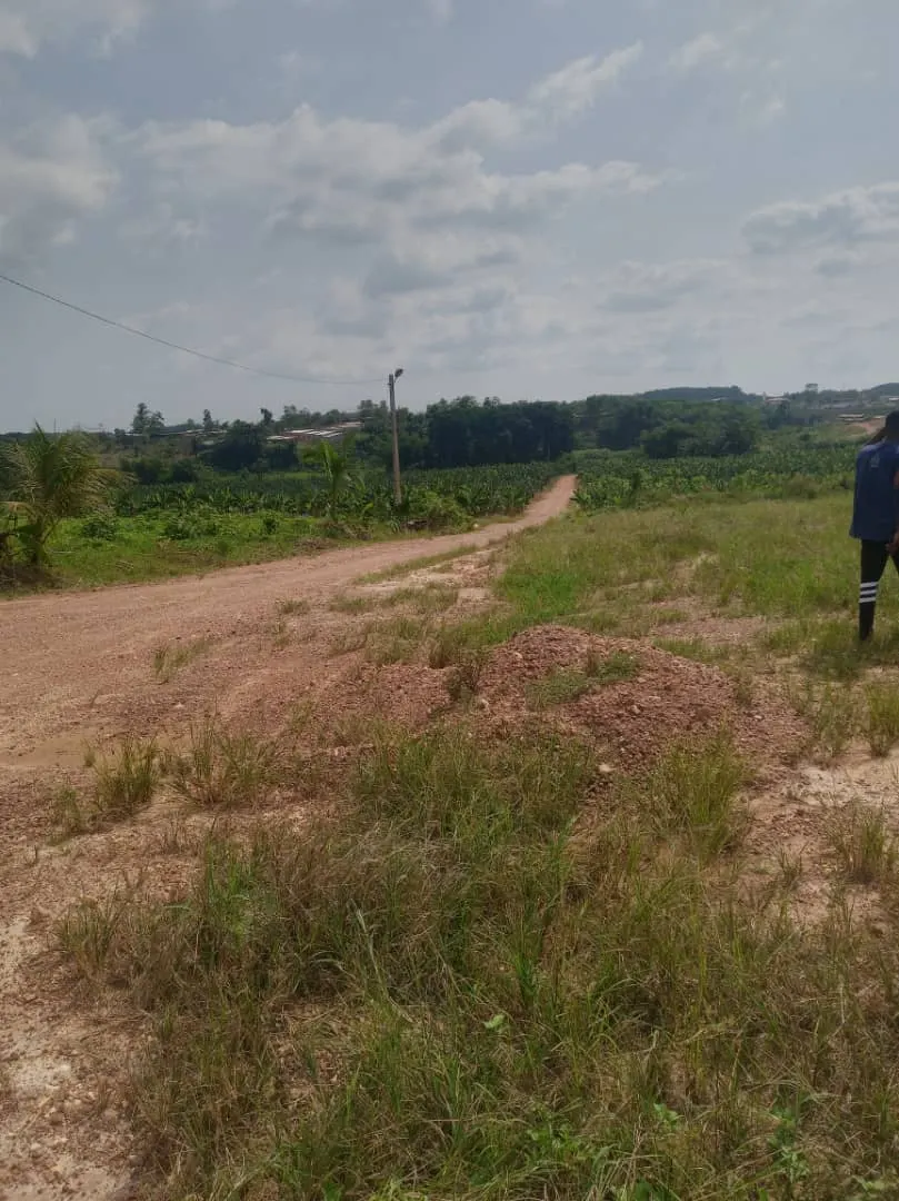 Terrain semi-viabilisé 400m² — Anyama Thomasset