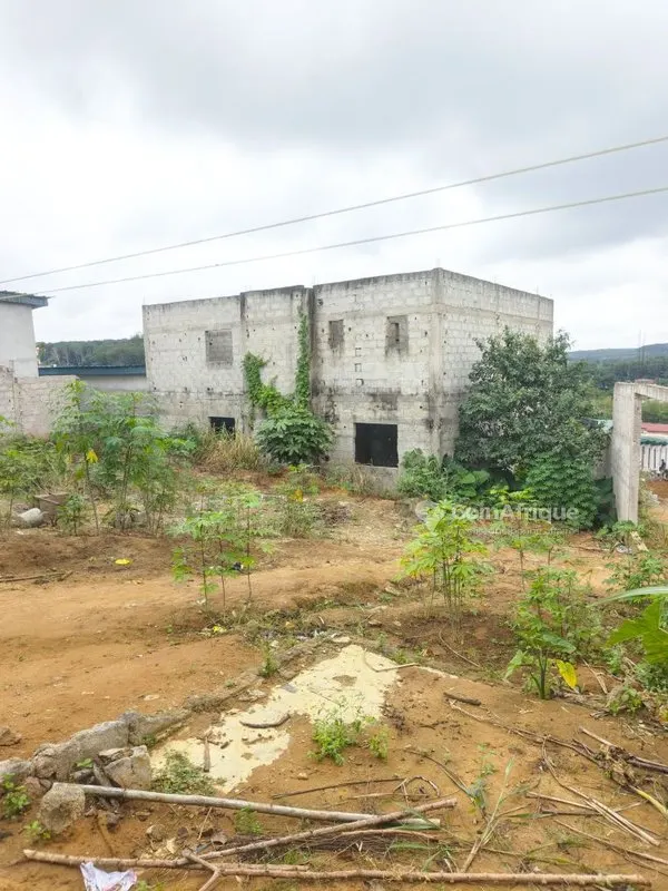 Cour 1100 m² avec duplex inachevé 6 pièces + 5 studios — Songon Ayiwahi