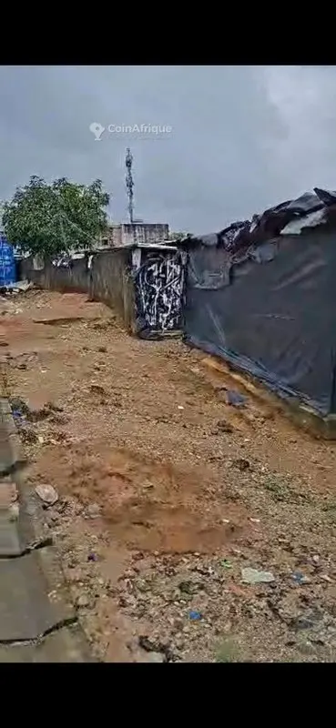 Terrain 517 m² à l'angle de rues bitumées — Cocody-Angré 9ème tranche