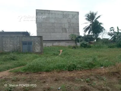 Terrain 2 lots 300 m² avec ACD — Songon Ayiwahi