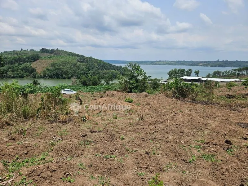 Terrain 500 m² avec ACD et vue lagunaire — Bingerville Adjin