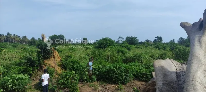 Terrain 1300 m² — Yopougon Songon