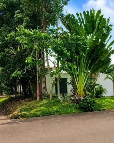 Terrain d'angle 487 m² — Cocody Riviera M'Badon