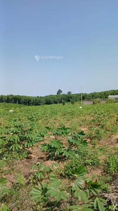 Terrain 400 m² bon relief — Songon M'braté Carrefour Yacé