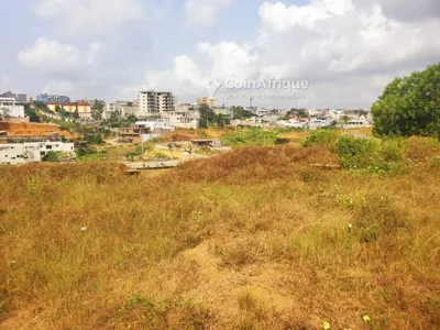 Terrain 2620 m² — Cocody M'badon