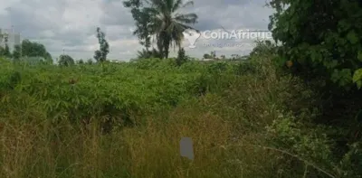 Terrain 500m² avec ACD — Attinguié
