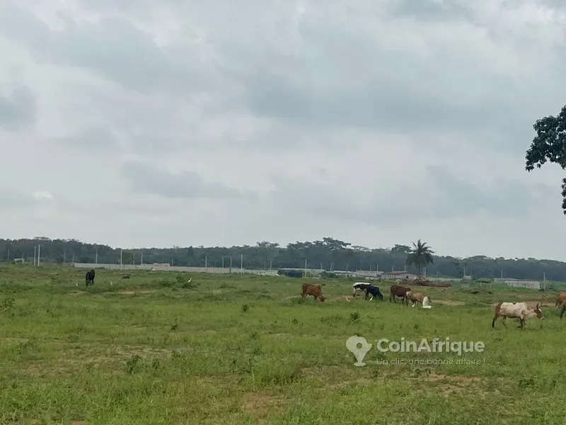Terrains 400 m² avec titre foncier — Songon Cassamblé
