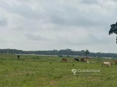 Terrains 400 m² avec titre foncier — Songon Cassamblé