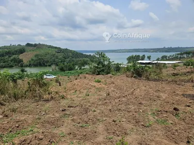 Terrain 500 m² avec vue lagunaire — Bingerville