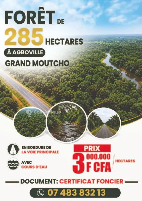Terrain agricole 285 hectares avec cours d'eau — Agbovile Grand Moutcho