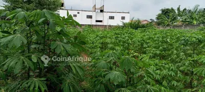 Terrain 640 m² avec ACD — Angré Djôrôgôbité