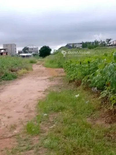 Terrain 700 m² en bordure de voie — Songon Gravier Cité Akouedo