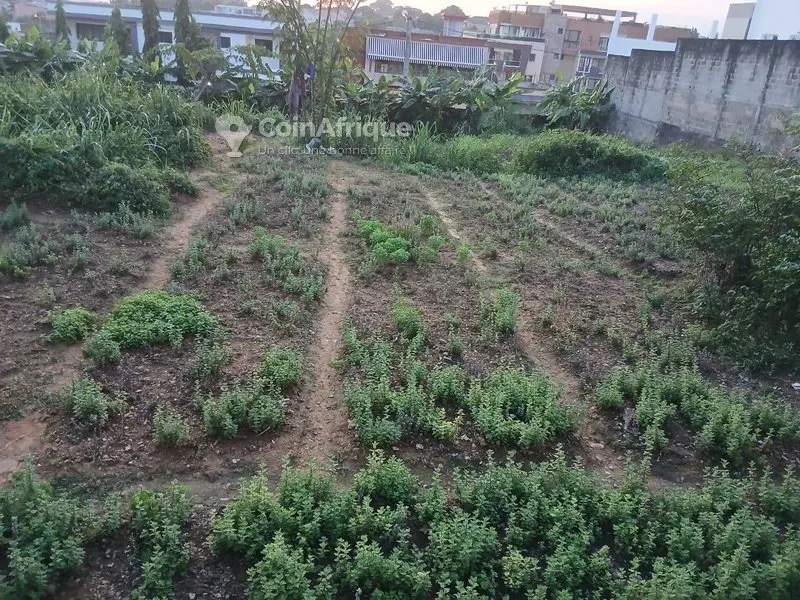 Terrain 800 m² — Golf 4