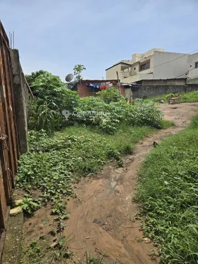 terrain Cocody