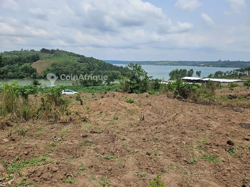 Terrain 500 m² avec vue lagunaire — Bingerville