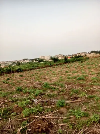 Terrain 400 m² — Bimbresso