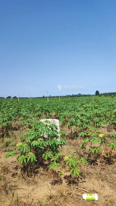 Terrain lots 400 m² — Songon