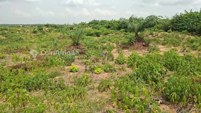 Terrain 500 m² avec ACD — Zone Stade d'Ebimpé