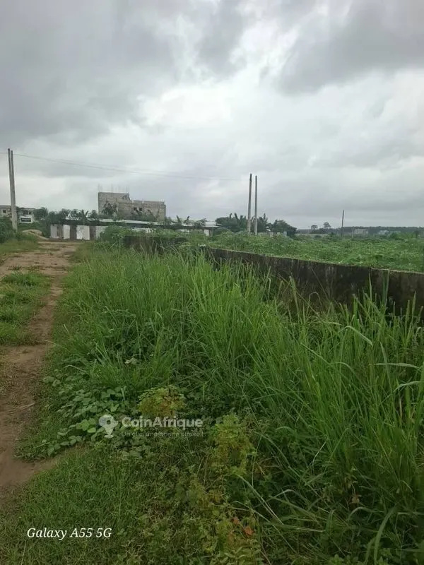 Terrain 400 m² — Bingerville