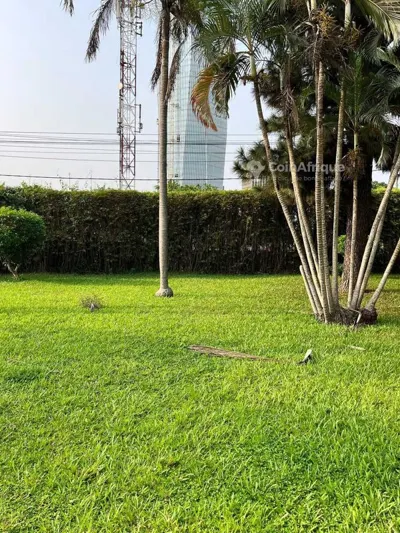Terrain bâti 2439 m² avec villa bureaux — Plateau Indénié