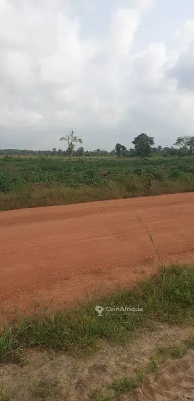 Terrain 400 m² — Jacqueville-Tomatékro