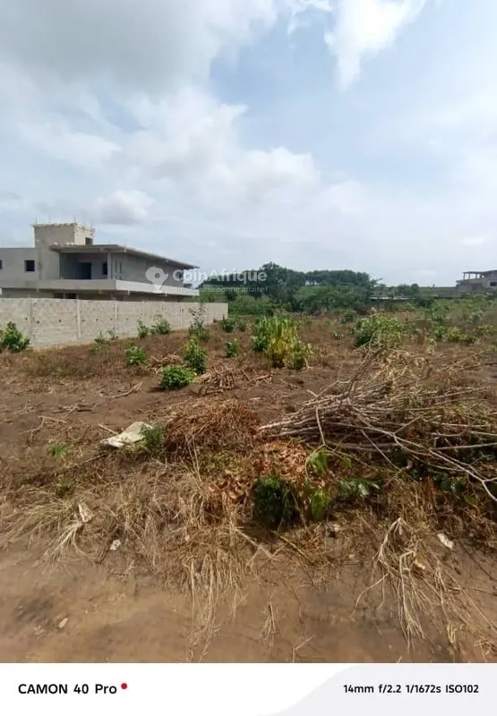Terrain 733 m² - Bingerville