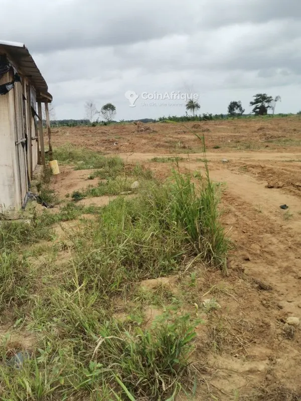 Terrain 400 m² — Songon