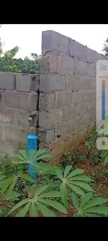Terrain 500 m² — Songon Bité