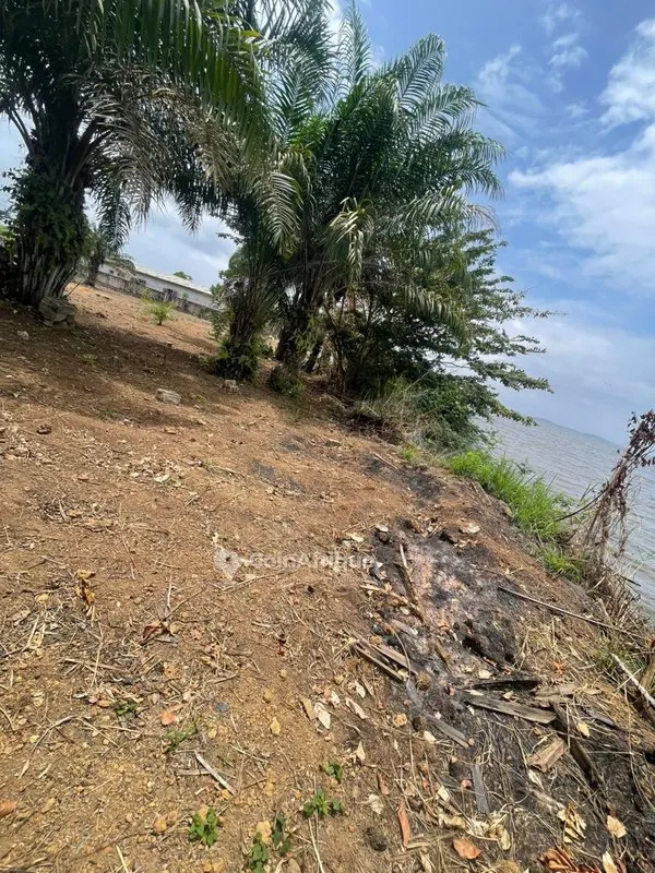 Terrain 3300 m² avec ACD en bordure d'eau — Songon Tié