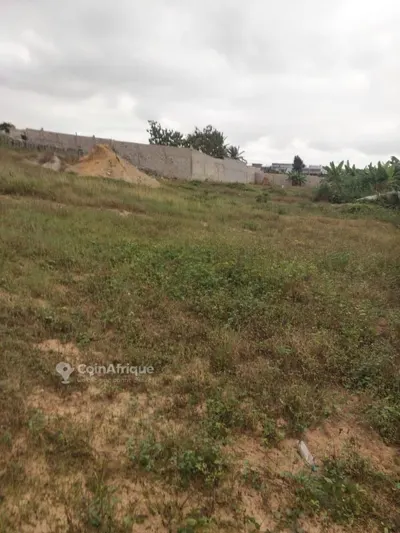 2 terrains 554 m² et 519 m² avec ACD — Cocody-Angré